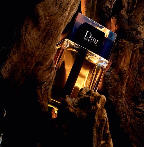 dior homme parfum chocolate|Dior Homme 2020 fragrantica.